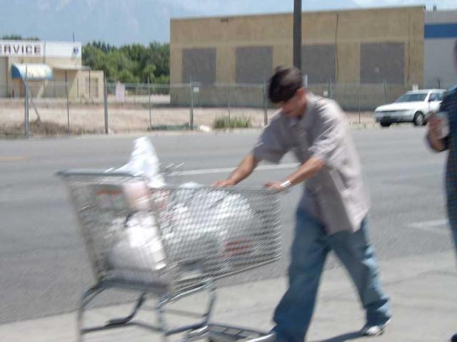 gonzalezshoppingcart